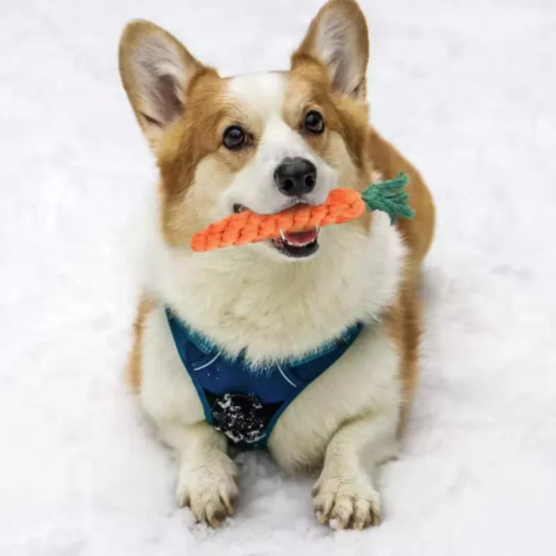 Cotton Rope Carrot Chew Toy – Durable Tug Toy for Puppies (Multipacks)