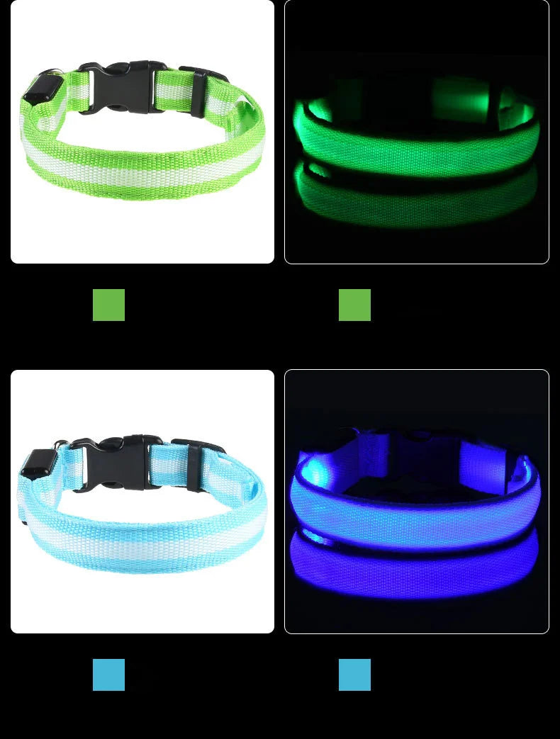 LED Light-Up Dog Collar – Glow-in-the-Dark Safety Collar for Night Walks