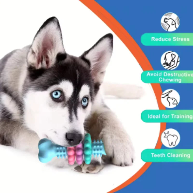 Bite-Resistant Dog Chew Stick – Teething Toy & Treat Holder for Puppies and Adults