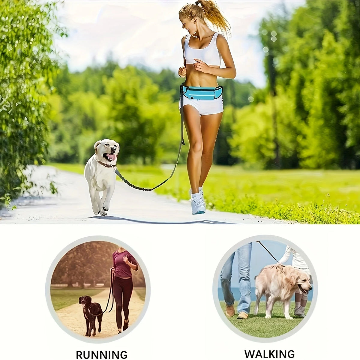 Hands-Free Bungee Dog Leash with Zip Waist Bag – For Running, Jogging & Walking