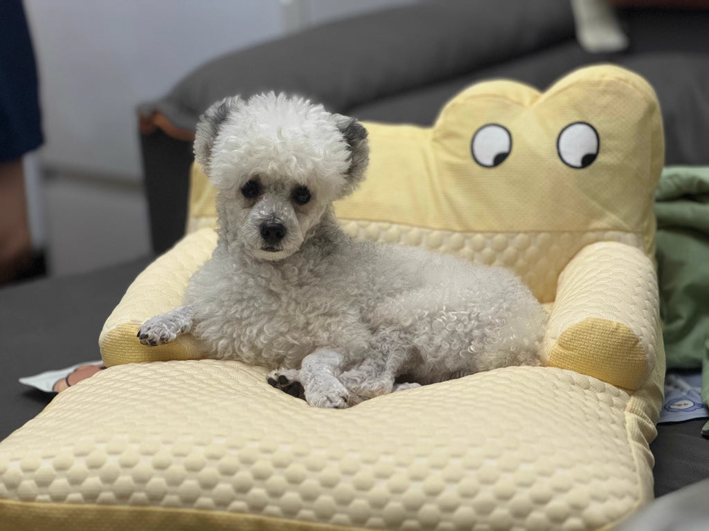 Warm Plush Dog Sofa Bed – Soft Winter Cushion for Small & Large Dogs