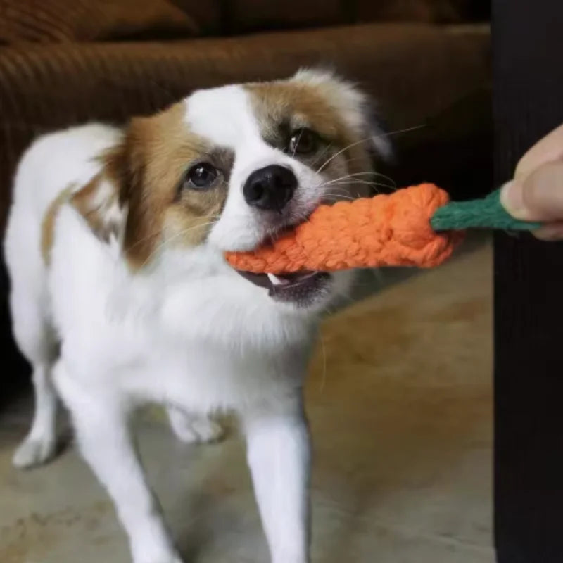 Cotton Rope Carrot Chew Toy – Durable Tug Toy for Puppies (Multipacks)