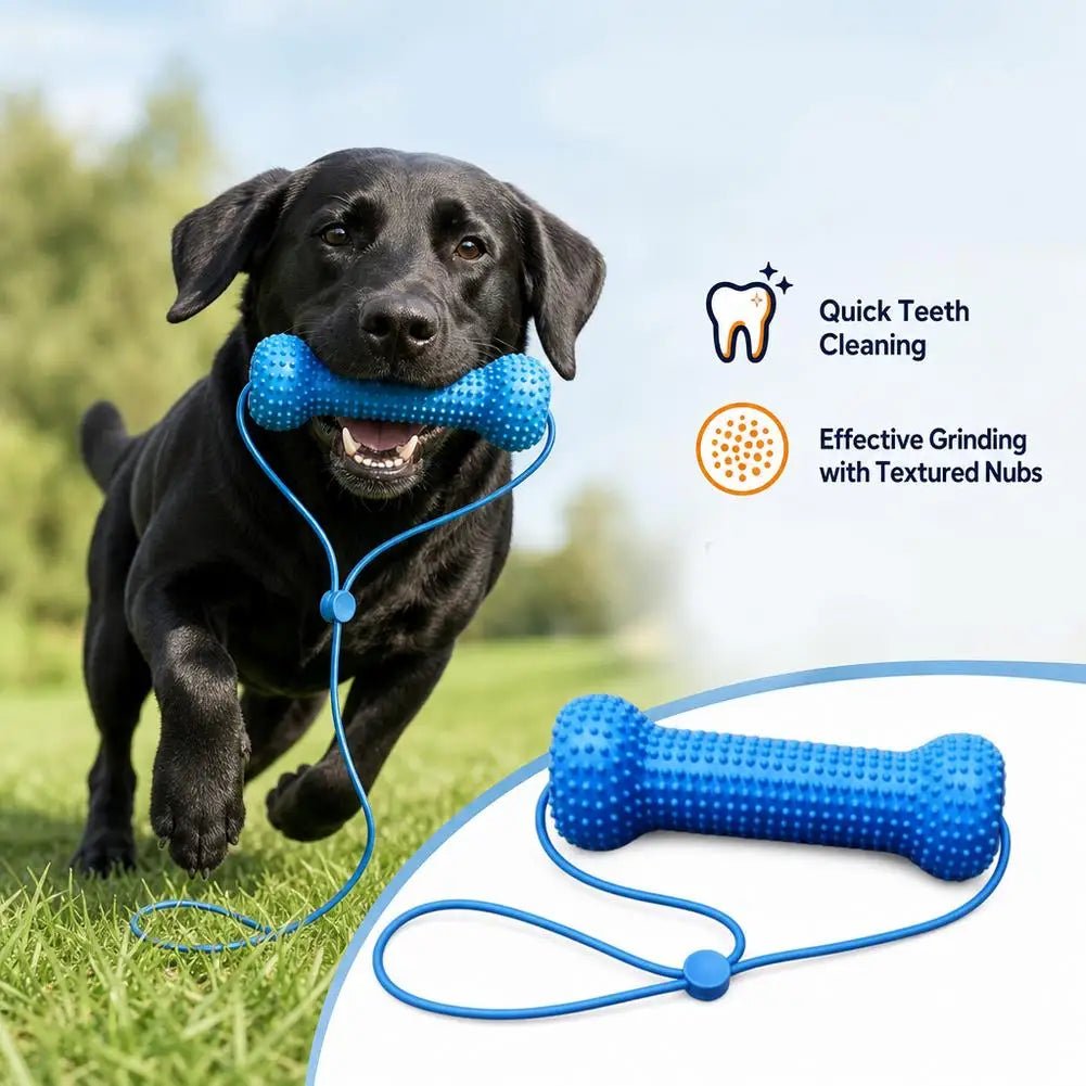 Dental Chew Toy for Dogs – Teeth Cleaning Mouth Prop, Quiet & Durable