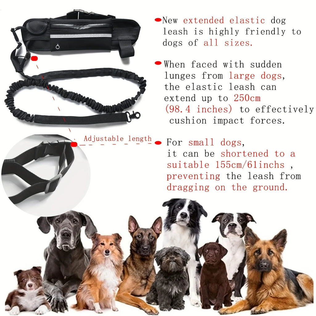 Hands-Free Bungee Dog Leash with Zip Waist Bag – For Running, Jogging & Walking