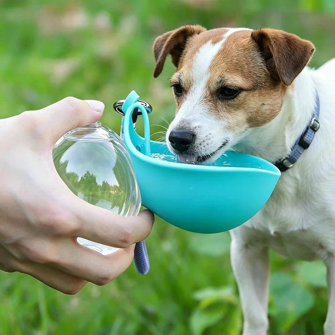 2-in-1 Portable Dog Water Bottle with Bowl – Leak-Proof, No-Spill for Walks & Hikes
