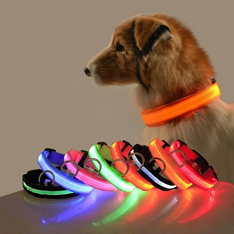 LED Light-Up Dog Collar – Glow-in-the-Dark Safety Collar for Night Walks