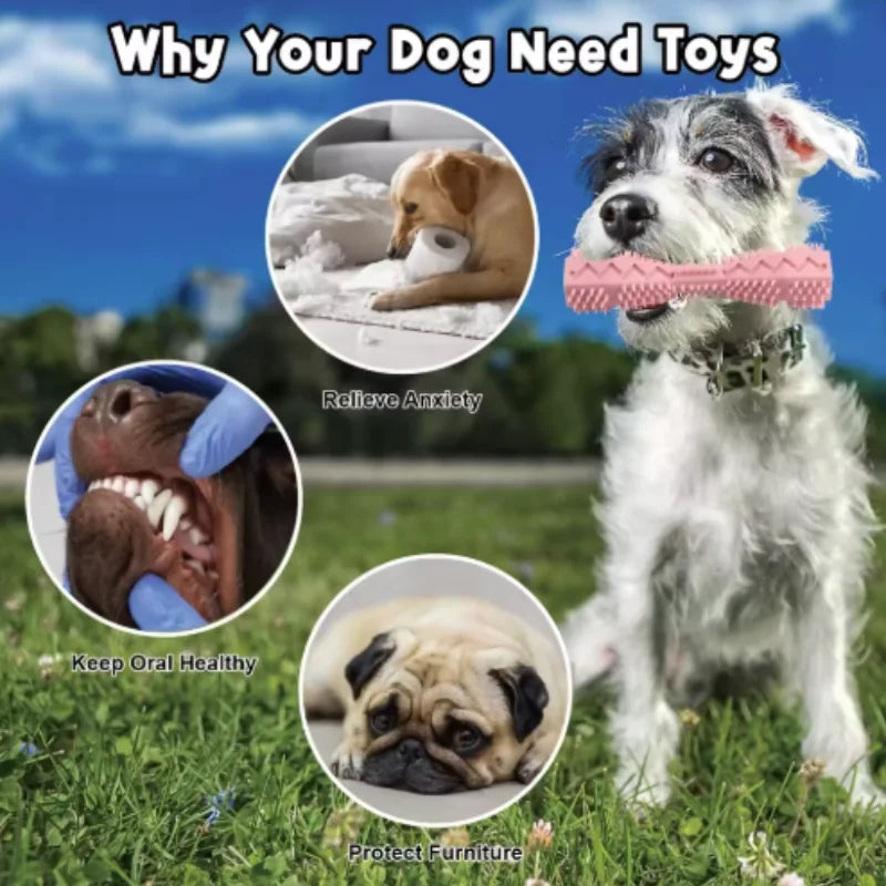 Bite-Resistant Dog Chew Stick – Teething Toy & Treat Holder for Puppies and Adults