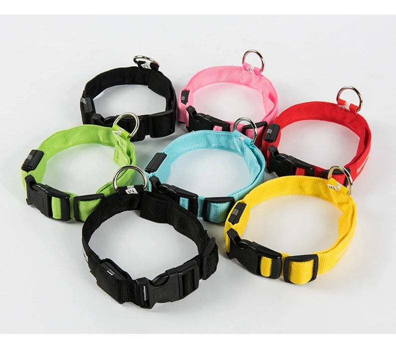 LED Light-Up Dog Collar – Glow-in-the-Dark Safety Collar for Night Walks