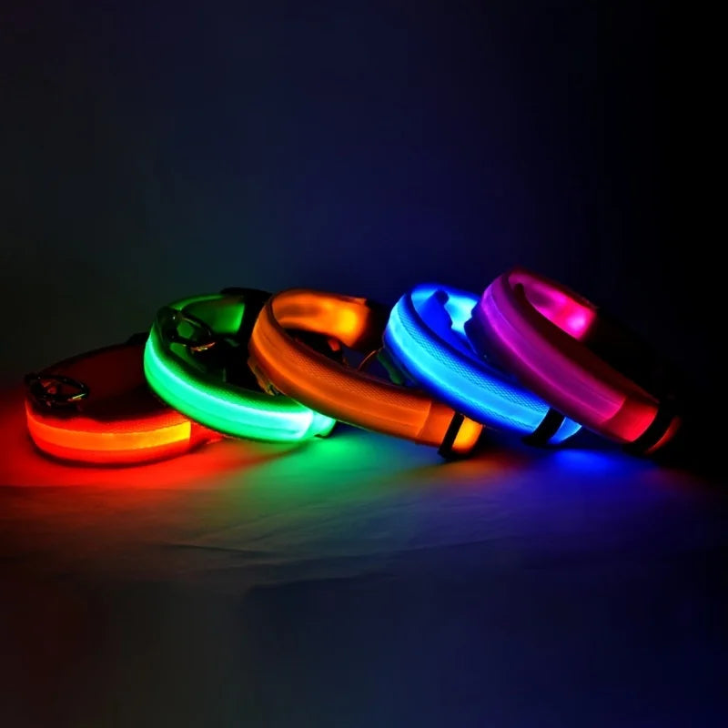 LED Light-Up Dog Collar – Glow-in-the-Dark Safety Collar for Night Walks