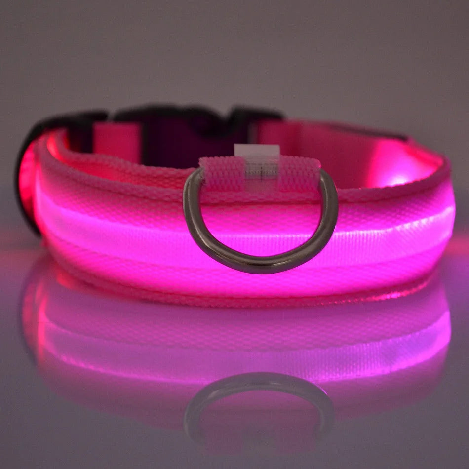 LED Light-Up Dog Collar – Glow-in-the-Dark Safety Collar for Night Walks