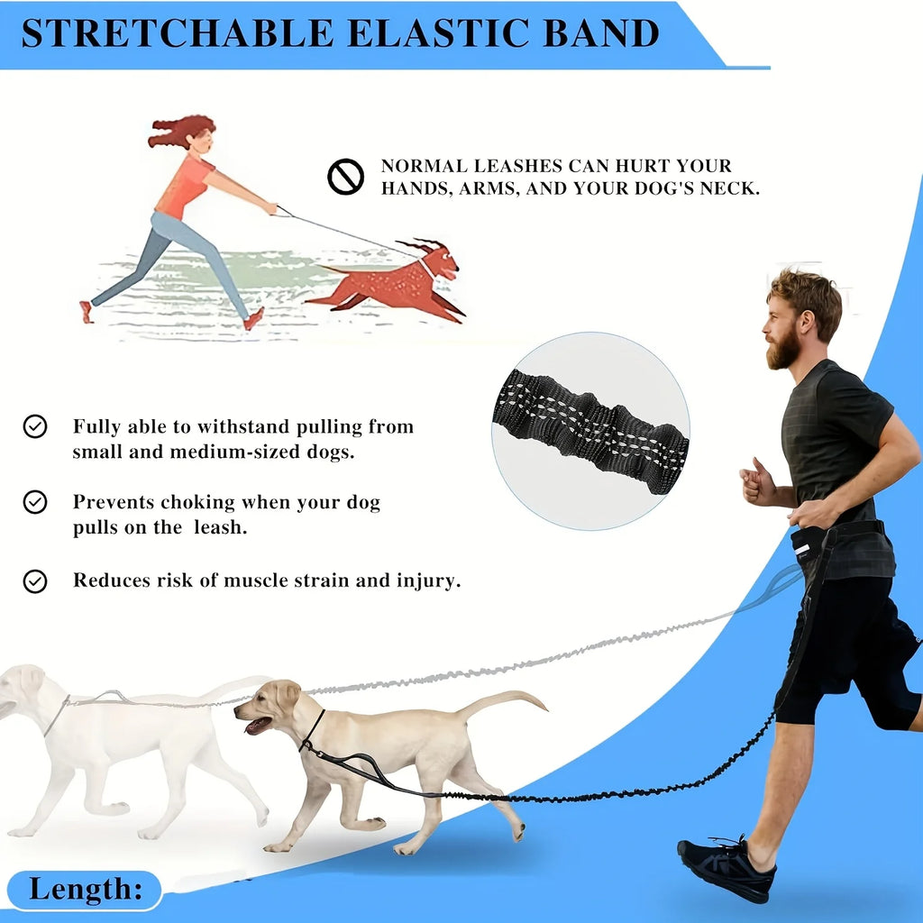 Hands-Free Bungee Dog Leash with Zip Waist Bag – For Running, Jogging & Walking