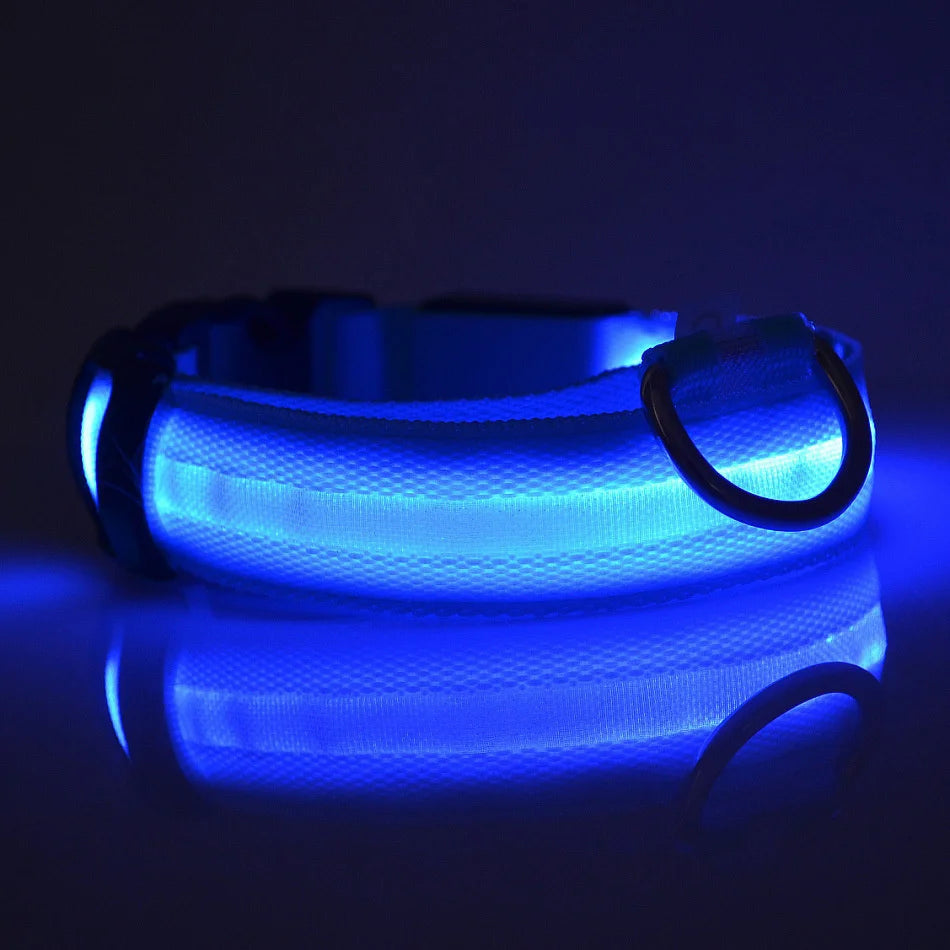 LED Light-Up Dog Collar – Glow-in-the-Dark Safety Collar for Night Walks