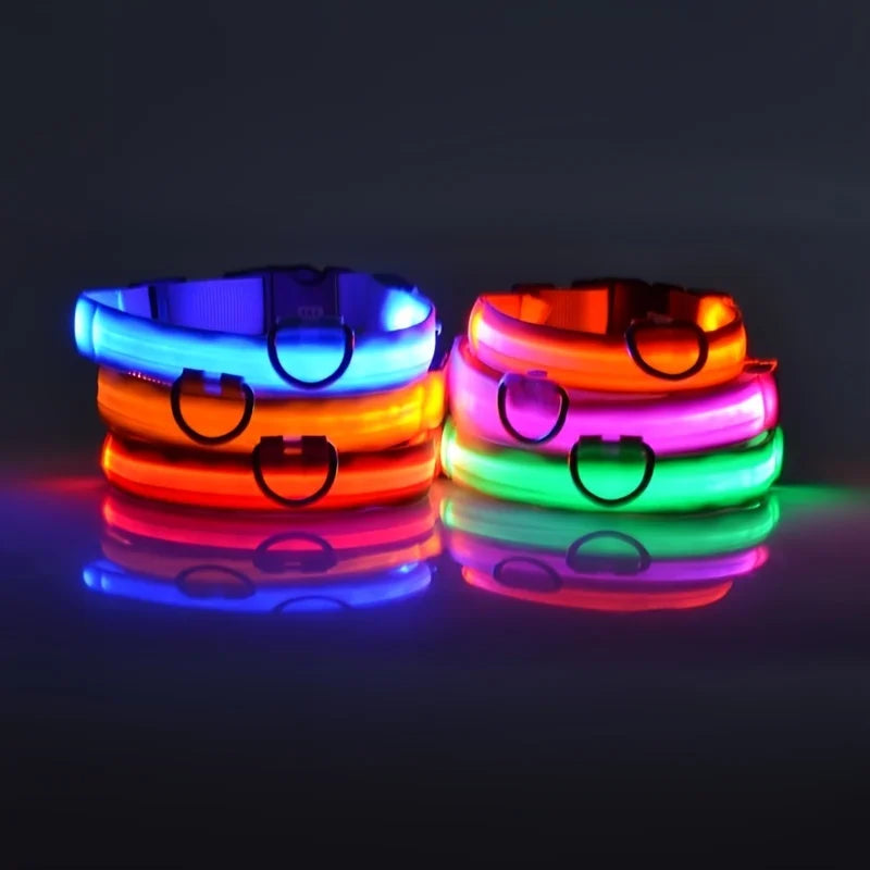 LED Light-Up Dog Collar – Glow-in-the-Dark Safety Collar for Night Walks