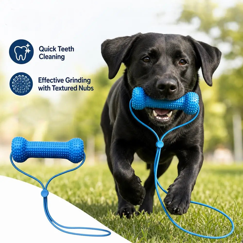 Dental Chew Toy for Dogs – Teeth Cleaning Mouth Prop, Quiet & Durable