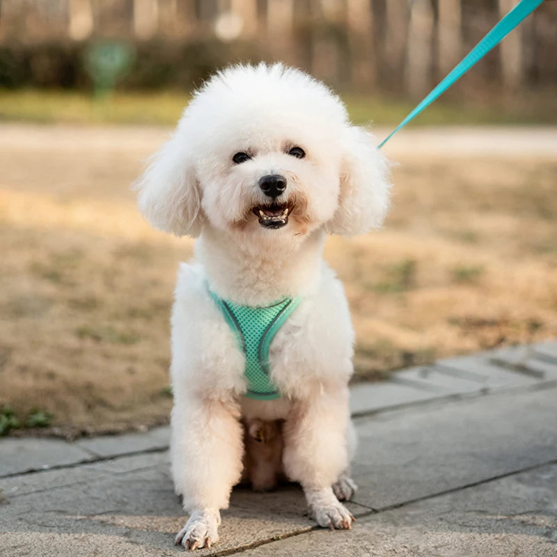 Reflective Mesh Dog Harness – Breathable, No-Pull, Escape-Proof Vest for Small Dogs