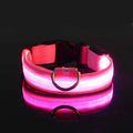 LED Light-Up Dog Collar – Glow-in-the-Dark Safety Collar for Night Walks