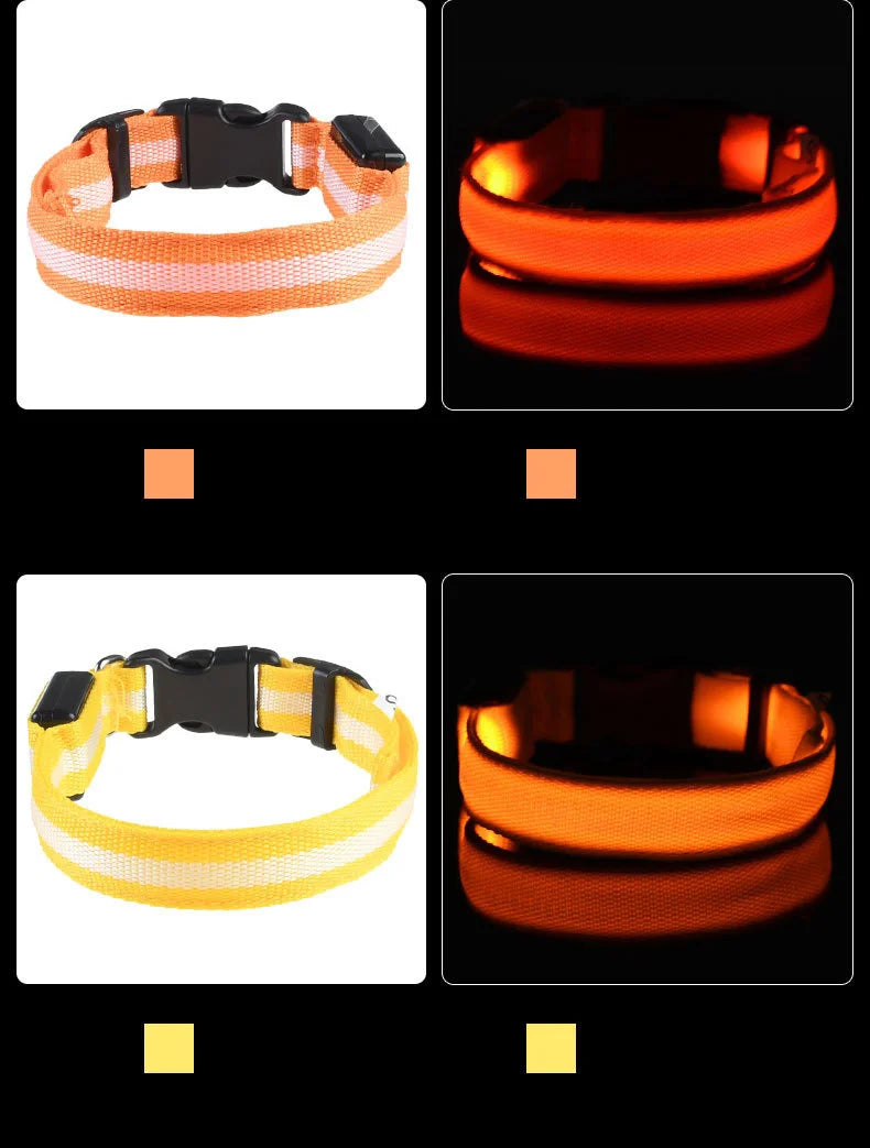LED Light-Up Dog Collar – Glow-in-the-Dark Safety Collar for Night Walks