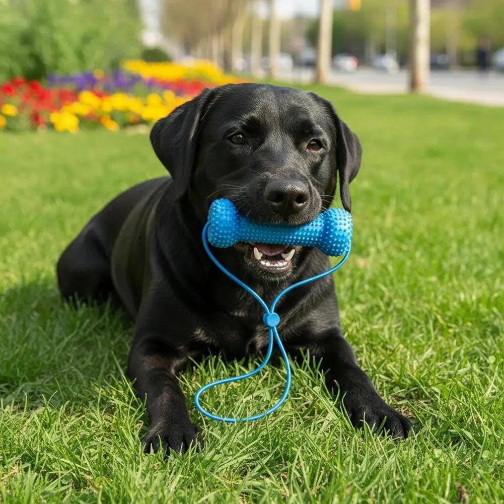 Dental Chew Toy for Dogs – Teeth Cleaning Mouth Prop, Quiet & Durable