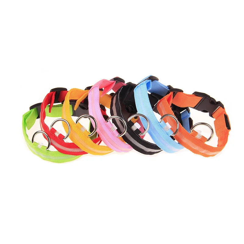 LED Light-Up Dog Collar – Glow-in-the-Dark Safety Collar for Night Walks