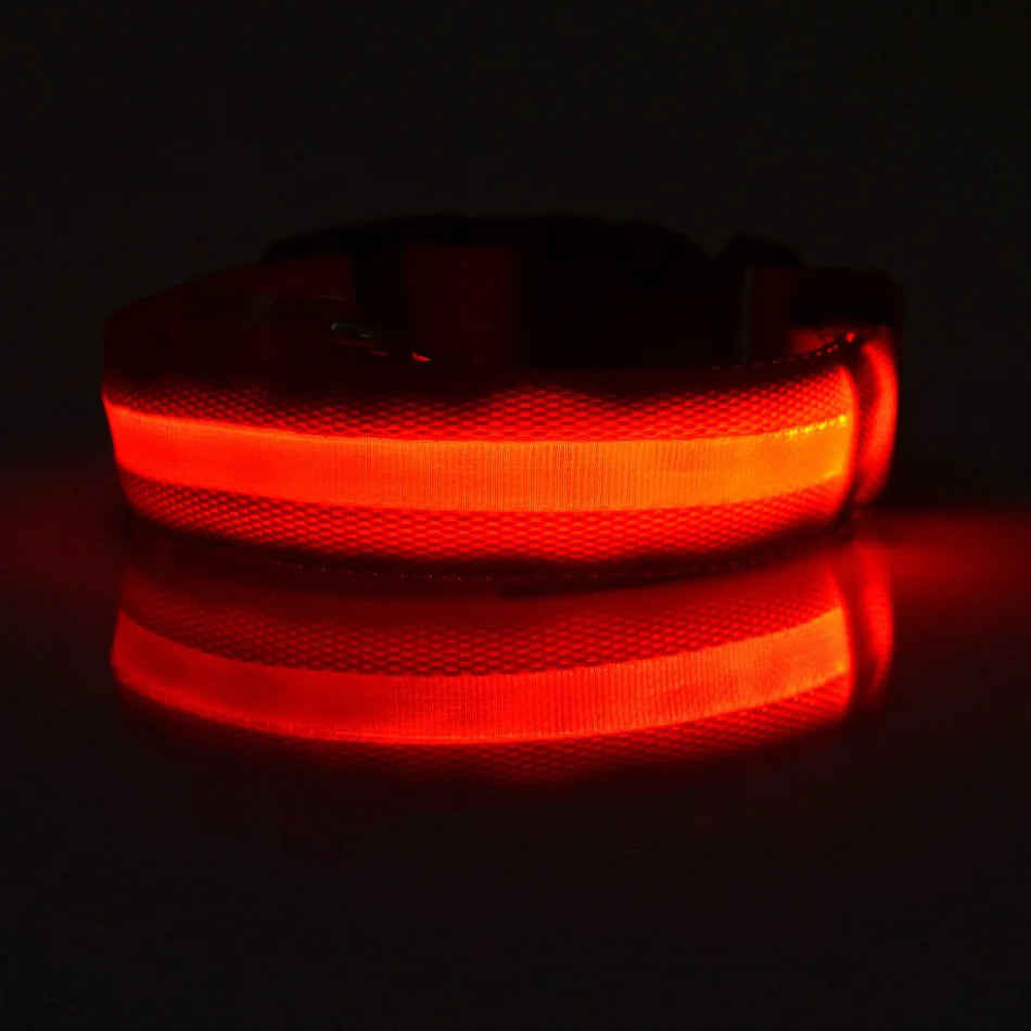 LED Light-Up Dog Collar – Glow-in-the-Dark Safety Collar for Night Walks