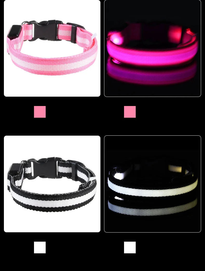 LED Light-Up Dog Collar – Glow-in-the-Dark Safety Collar for Night Walks