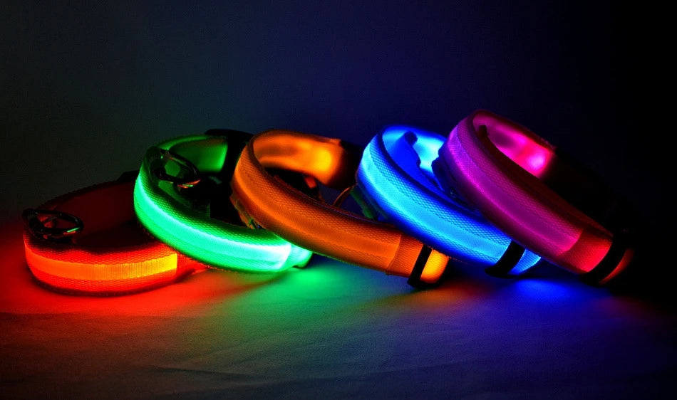 LED Light-Up Dog Collar – Glow-in-the-Dark Safety Collar for Night Walks