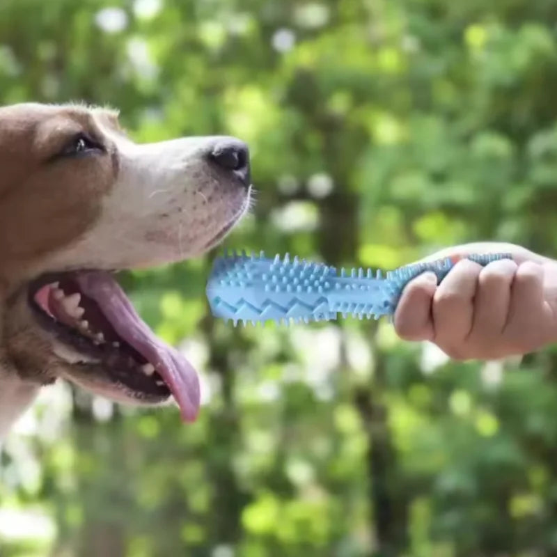 Bite-Resistant Dog Chew Stick – Teething Toy & Treat Holder for Puppies and Adults