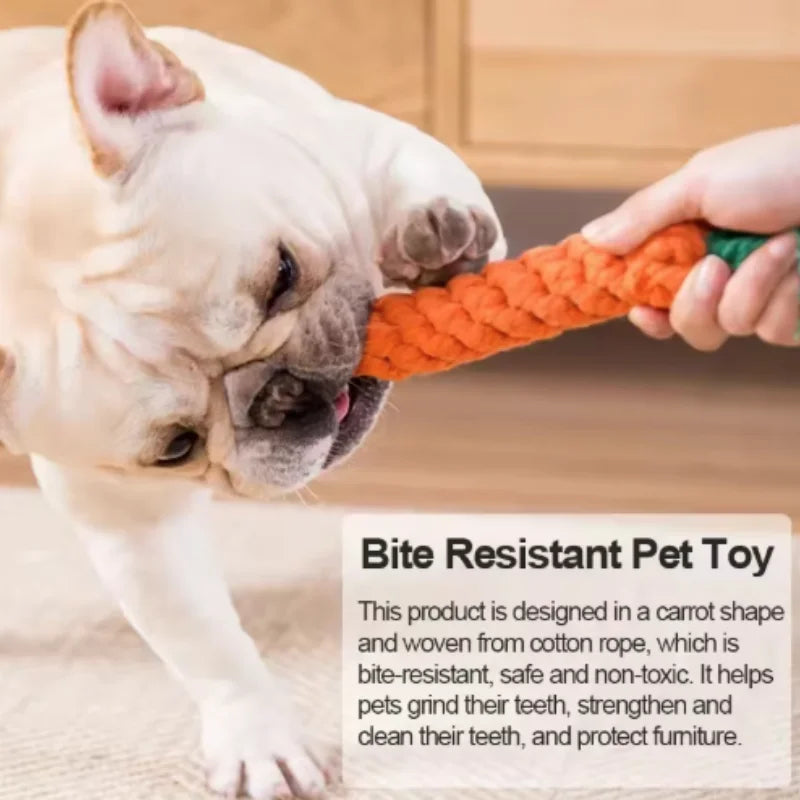 Cotton Rope Carrot Chew Toy – Durable Tug Toy for Puppies (Multipacks)