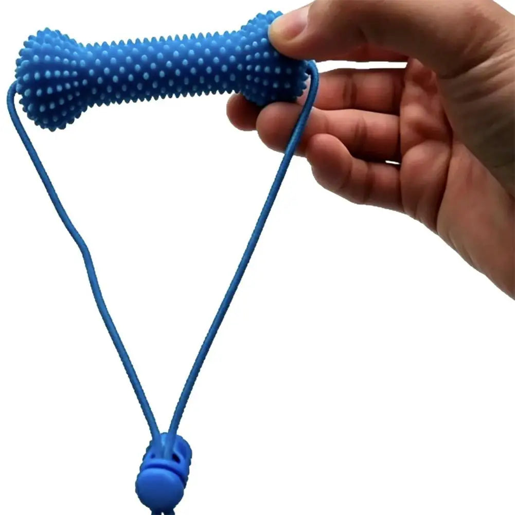 Dental Chew Toy for Dogs – Teeth Cleaning Mouth Prop, Quiet & Durable