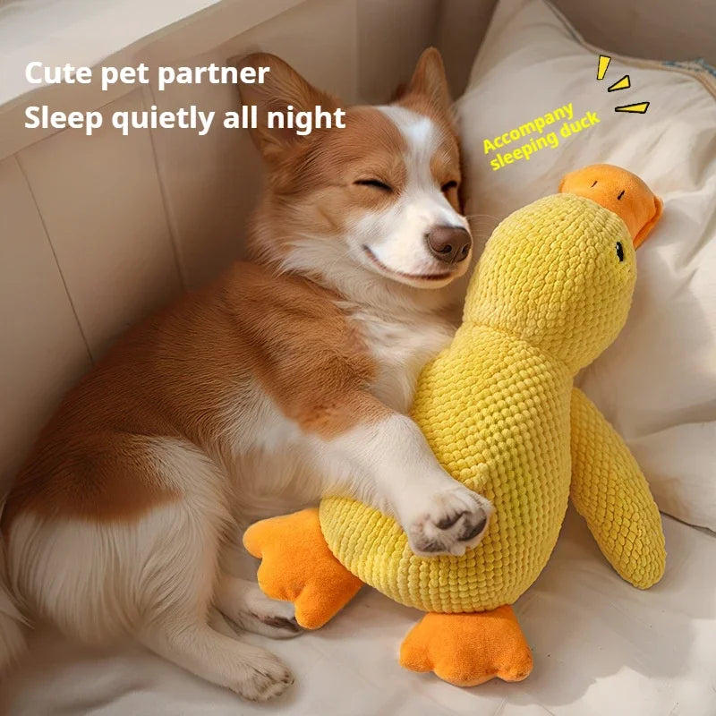 Plush Squeaky Duck Toy for Dogs – Soft Cuddle & Chew Companion (3 Sizes)