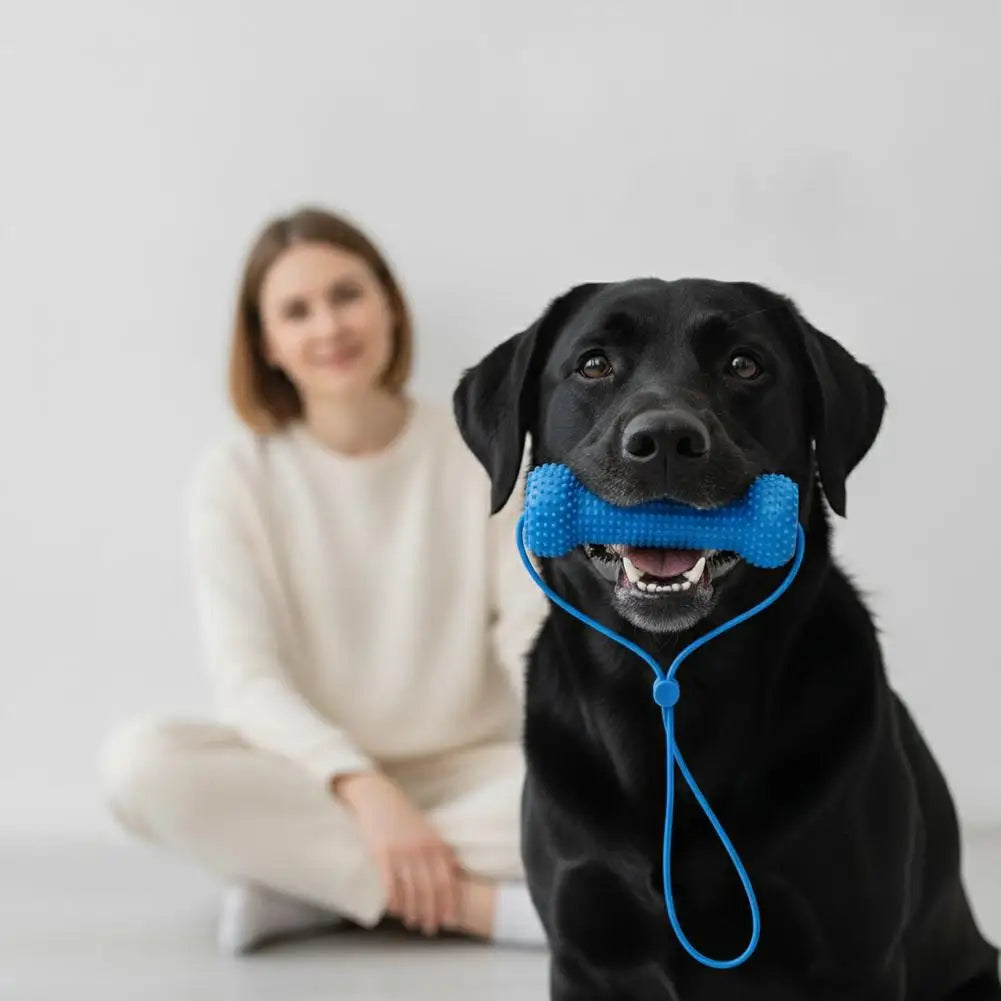 Dental Chew Toy for Dogs – Teeth Cleaning Mouth Prop, Quiet & Durable