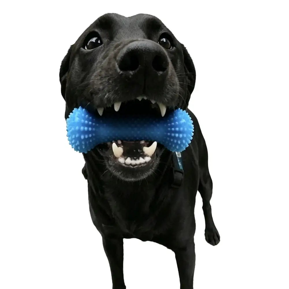 Dental Chew Toy for Dogs – Teeth Cleaning Mouth Prop, Quiet & Durable
