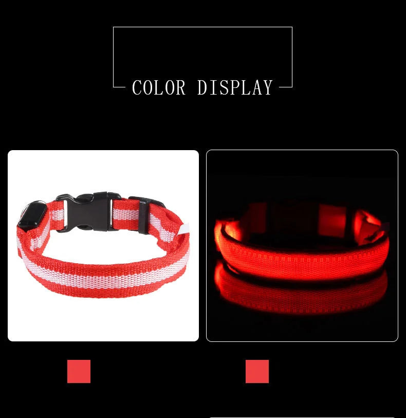 LED Light-Up Dog Collar – Glow-in-the-Dark Safety Collar for Night Walks